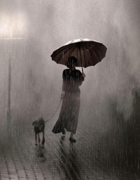 Saul Leiter.jpg